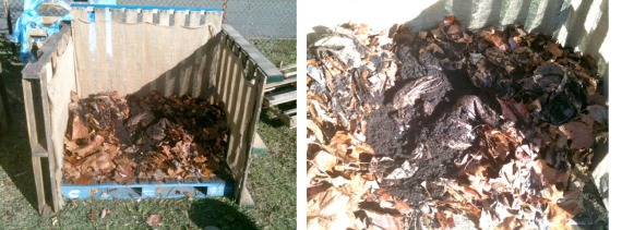 Compost Bin and Comport